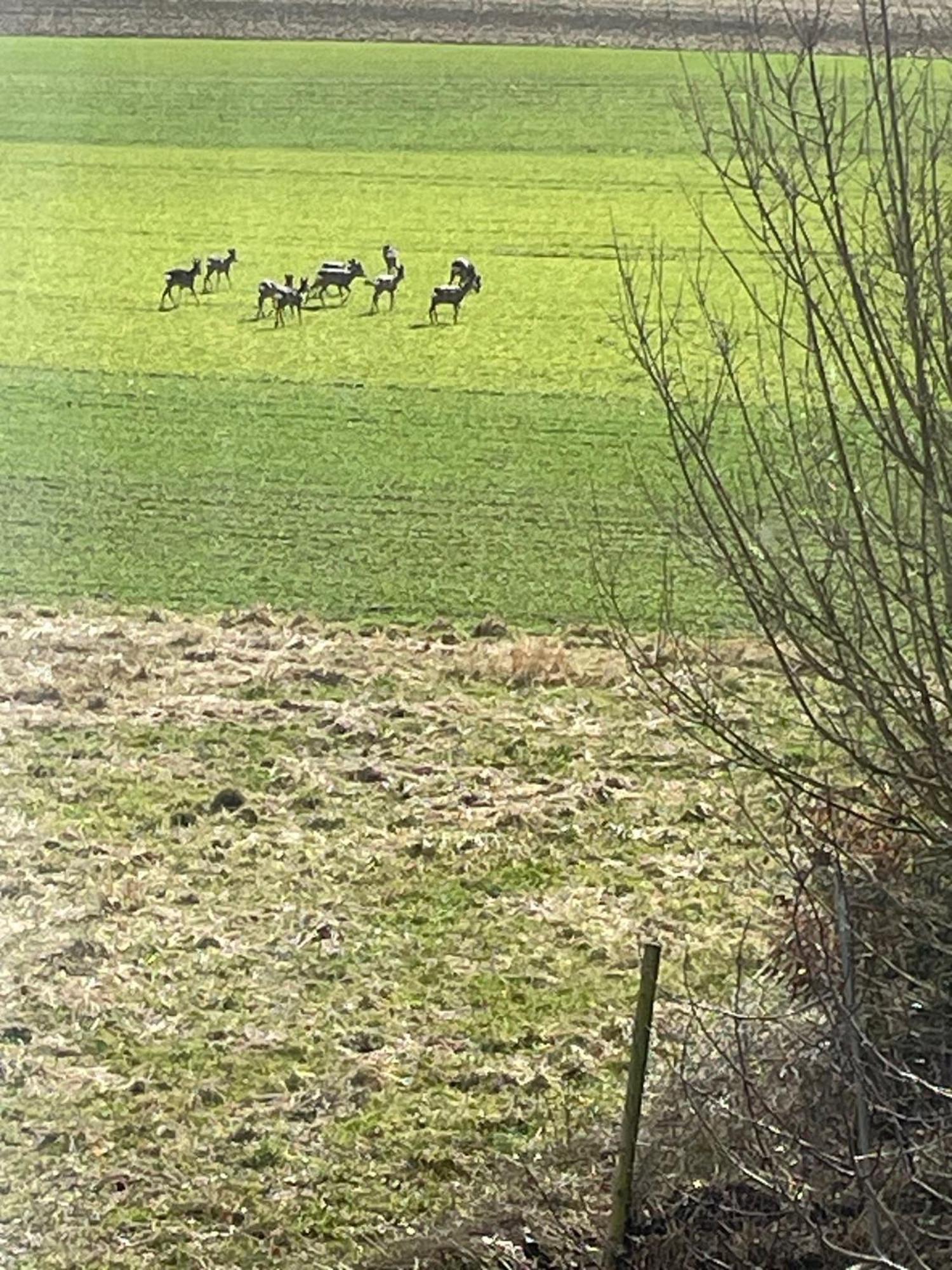 Feierabend * Gottmadingen